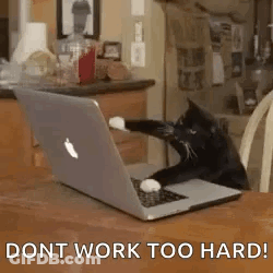A Black And White Cat Is Sitting At A Table With A Laptop Computer . GIF