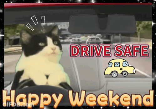 A Black And White Cat Is Sitting In A Car With The Words Drive Safe Happy Weekend GIF