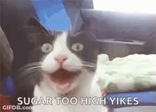 A Black And White Cat Is Sitting In A Chair With Its Mouth Open . GIF
