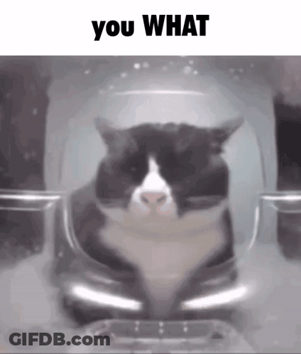 A Black And White Cat Is Sitting Inside Of A Plastic Container With The Words You What Above It . GIF