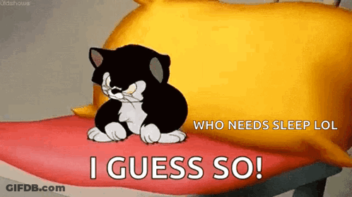 A Black And White Cat Is Sitting On A Bed Next To A Yellow Pillow And The Words I Guess So . GIF