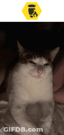 A Black And White Cat Is Sitting On A Bed Next To A Yellow Sign That Says ' Fire ' GIF