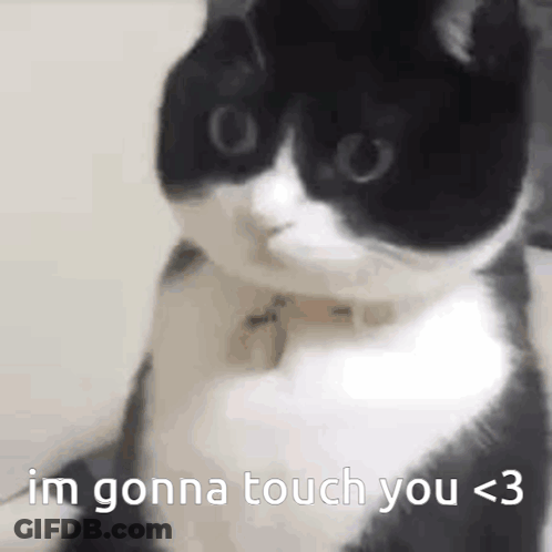 A Black And White Cat Is Sitting On A Couch And Saying `` Im Gonna Touch You < 3 '' . GIF