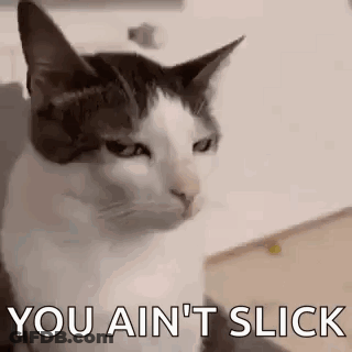 A Black And White Cat Is Sitting On A Couch With The Words `` You Ain 'T Slick '' . GIF