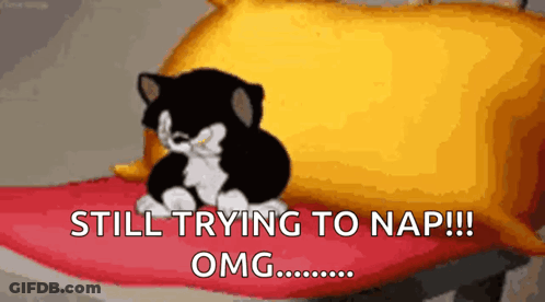 A Black And White Cat Is Sitting On A Pillow With The Words Still Trying To Nap Omg .. GIF