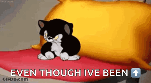 A Black And White Cat Is Sitting On A Red Blanket Next To A Yellow Pillow And The Words `` Even Though Ive Been '' . GIF