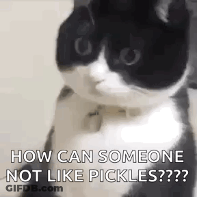 A Black And White Cat Is Sitting On A Table And Looking At The Camera . GIF