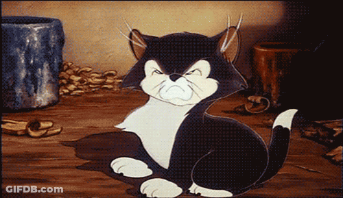 A Black And White Cat Is Sitting On A Wooden Floor GIF