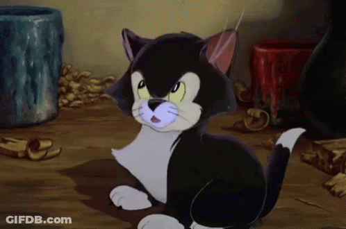 A Black And White Cat Is Sitting On A Wooden Floor GIF