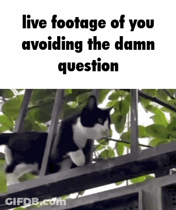 A Black And White Cat Is Sitting On Top Of A Fence . GIF