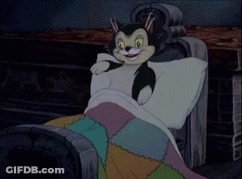 A Black And White Cat Is Sleeping In A Bed With A Colorful Blanket . GIF
