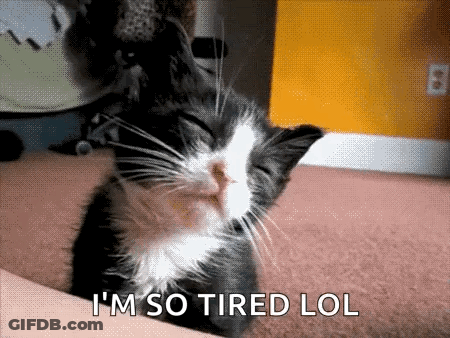 A Black And White Cat Is Sleeping On A Couch With The Words I 'M So Tired Lol Written Below It . GIF