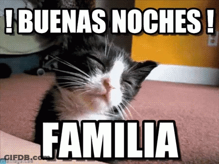 A Black And White Cat Is Sleeping With The Words Buenas Noches Familia Below It GIF