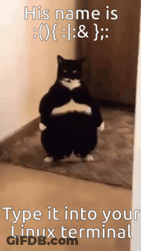 A Black And White Cat Is Standing In A Hallway With A Caption That Says His Name Is GIF
