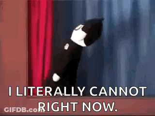 A Black And White Cat Is Standing In Front Of A Red Curtain And Saying `` I Literally Cannot Right Now . '' GIF