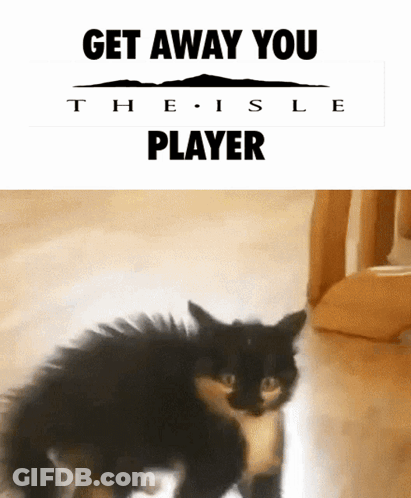 A Black And White Cat Is Standing Next To A Sign That Says Get Away You Player GIF