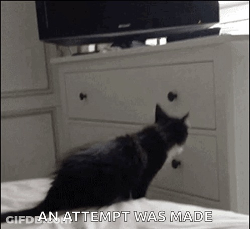 A Black And White Cat Is Standing On A Bed Next To A Dresser And A Tv . GIF