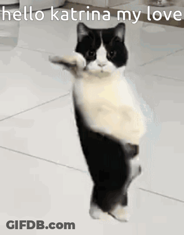 A Black And White Cat Is Standing On Its Hind Legs And Holding Something In Its Paw . GIF