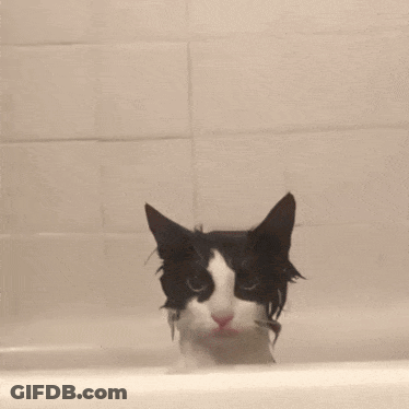 A Black And White Cat Is Taking A Bath In A Tub GIF