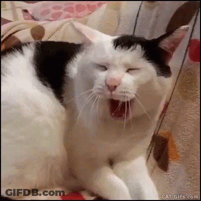 A Black And White Cat Is Yawning With Its Eyes Closed . GIF