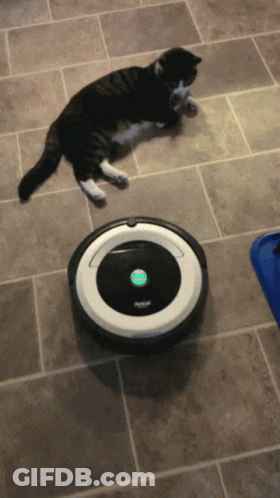 A Black And White Cat Laying Next To An Irobot Vacuum GIF