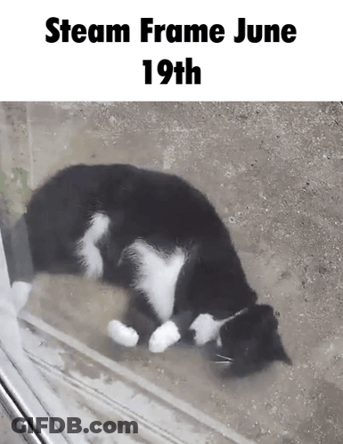 A Black And White Cat Laying On The Ground Next To A Window GIF
