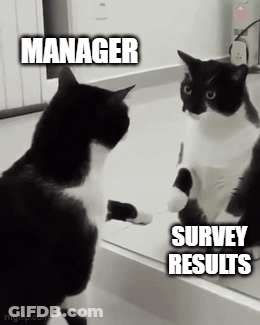 A Black And White Cat Looking At Its Reflection In A Mirror With The Words Manager Survey Results GIF
