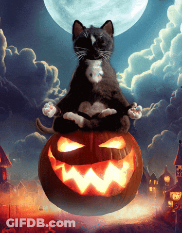 A Black And White Cat Sits On Top Of A Carved Halloween Pumpkin GIF