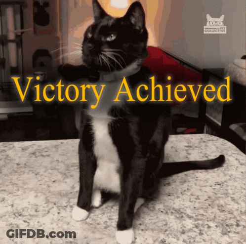 A Black And White Cat Sitting On A Counter With The Words Victory Achieved Written Above It GIF