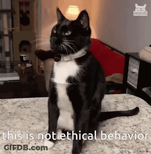 A Black And White Cat Sitting On A Table With The Words " This Is Not Ethical Behavior " Above It GIF