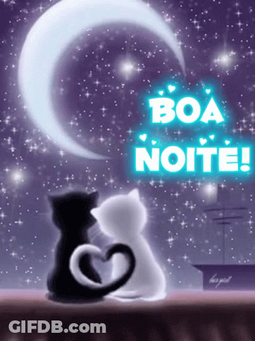 A Black And White Cat Sitting Under A Crescent Moon With The Words Boa Noite Written Above Them GIF