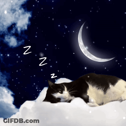 A Black And White Cat Sleeping On A Cloud With A Crescent Moon And Stars In The Background GIF