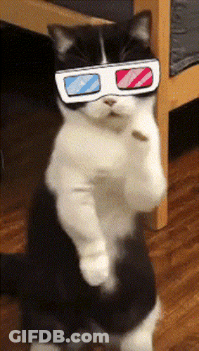 A Black And White Cat Wearing 3D Glasses Is Standing On Its Hind Legs GIF