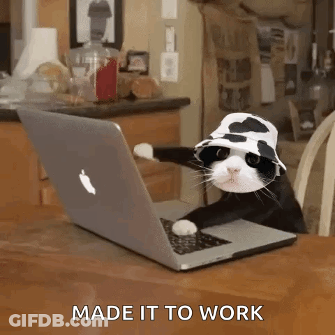 A Black And White Cat Wearing A Cow Hat Is Sitting In Front Of An Apple Laptop . GIF