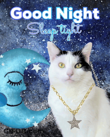 A Black And White Cat Wearing A Gold Chain And A Star Necklace Says " Good Night Sleep Tight " GIF