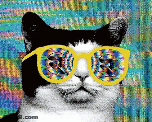 A Black And White Cat Wearing A Pair Of Yellow Glasses With A Colorful Background GIF