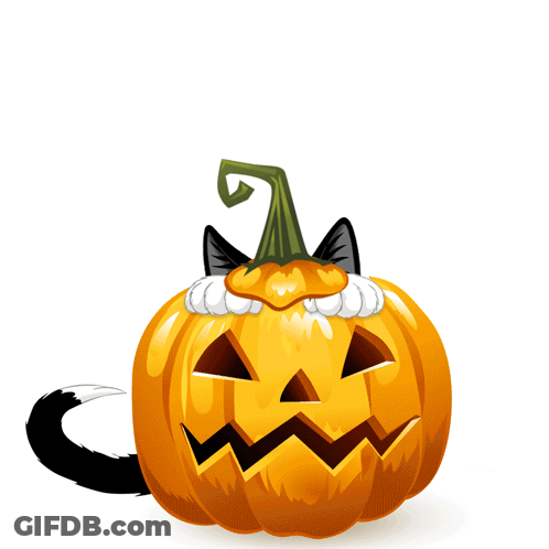 A Black And White Cat Wearing A Pumpkin Hat Is Sitting In A Halloween Pumpkin GIF