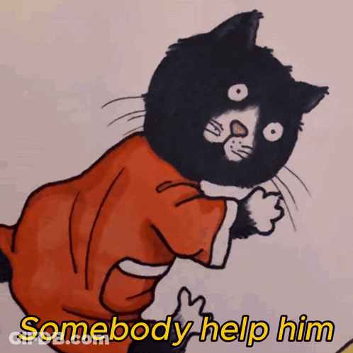 A Black And White Cat Wearing A Red Shirt With The Words Somebody Help Him Below It GIF