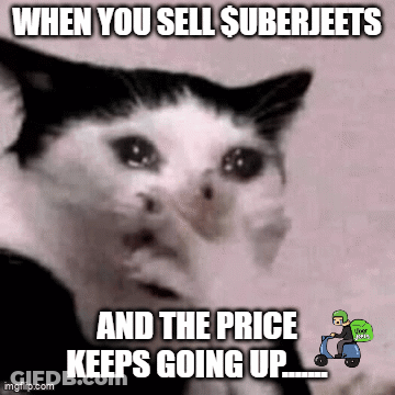 A Black And White Cat With A Caption That Says " When You Sell $ Suberjeets And The Price Keeps Going Up " GIF