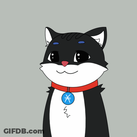 A Black And White Cat With A Red Collar And A Chinese Symbol On His Chest GIF