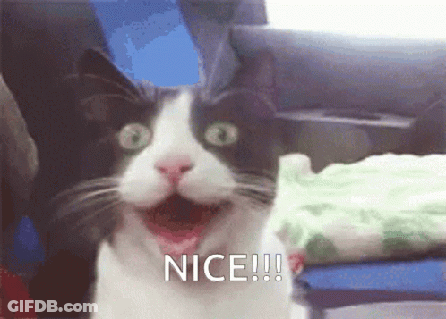 A Black And White Cat With A Surprised Look On Its Face And The Words Nice !!! Below It GIF