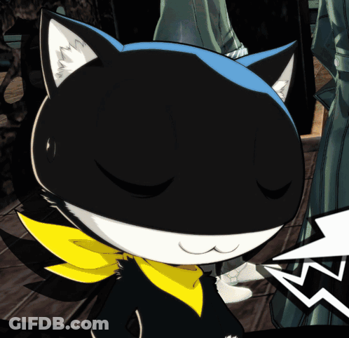 A Black And White Cat With A Yellow Scarf Around His Neck GIF