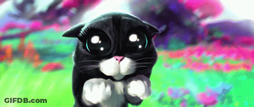 A Black And White Cat With Big Eyes Is Standing In A Field GIF