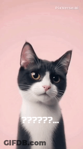 A Black And White Cat With Its Mouth Open And The Words Ha Ha Ha Ha On It GIF