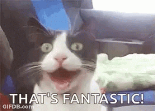 A Black And White Cat With Its Mouth Open Is Holding A Piece Of Cake . GIF