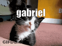 A Black And White Cat With The Name Gabriel Written On It GIF
