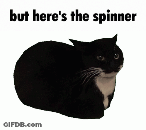 A Black And White Cat With The Words " But Here 'S The Spinner " Above It GIF