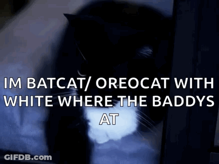 A Black And White Cat With The Words `` Im Batcat / Oreocat With White Where The Baddys At '' GIF
