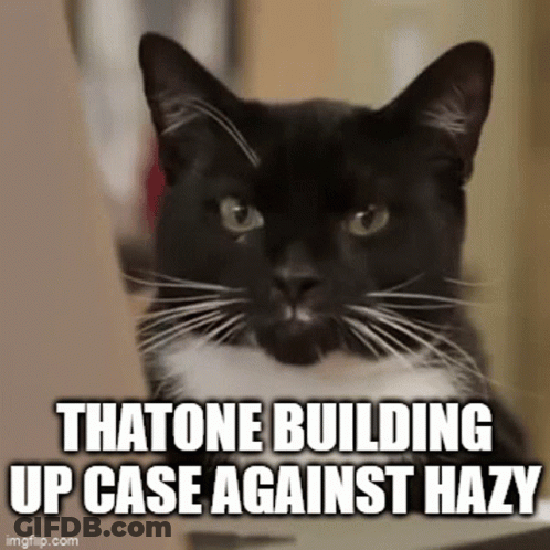 A Black And White Cat With The Words Thatone Building Up Case Against Hazy GIF