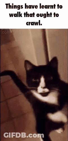 A Black And White Cat With The Words Things Have Learnt To Walk That Ought To Crawl Below It GIF